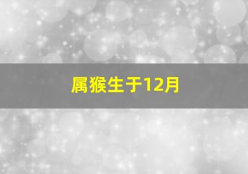 属猴生于12月