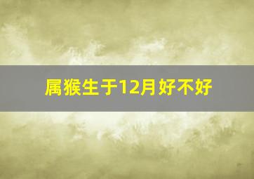 属猴生于12月好不好