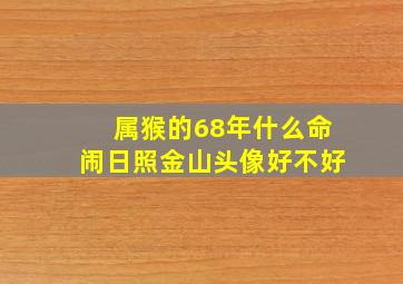 属猴的68年什么命闹日照金山头像好不好