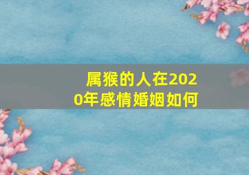 属猴的人在2020年感情婚姻如何