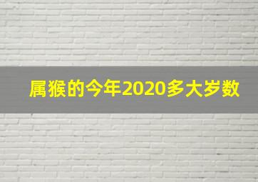 属猴的今年2020多大岁数