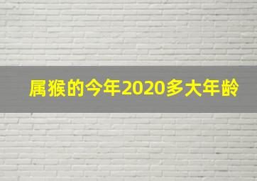 属猴的今年2020多大年龄