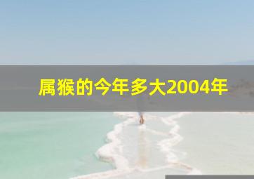 属猴的今年多大2004年