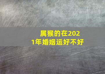 属猴的在2021年婚姻运好不好