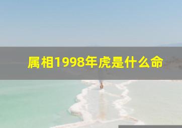 属相1998年虎是什么命