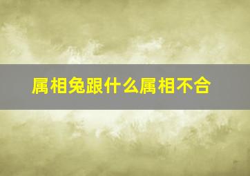 属相兔跟什么属相不合