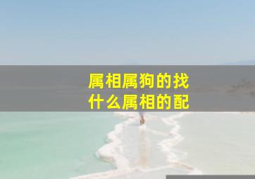 属相属狗的找什么属相的配