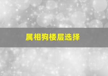 属相狗楼层选择