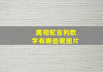 属相蛇吉利数字有哪些呢图片