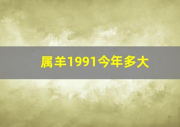 属羊1991今年多大