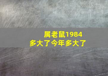 属老鼠1984多大了今年多大了