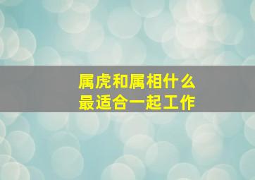 属虎和属相什么最适合一起工作