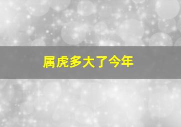 属虎多大了今年