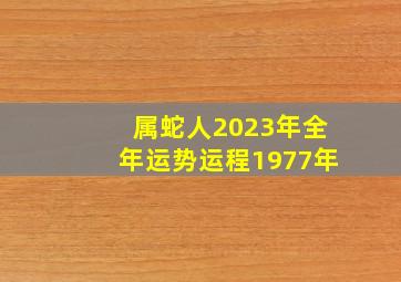 属蛇人2023年全年运势运程1977年