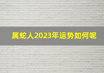 属蛇人2023年运势如何呢