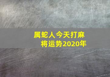 属蛇人今天打麻将运势2020年