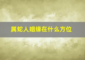 属蛇人姻缘在什么方位