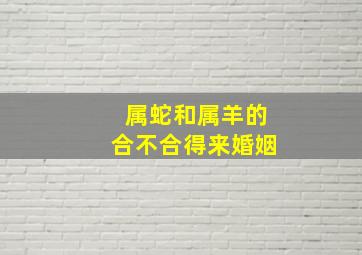 属蛇和属羊的合不合得来婚姻