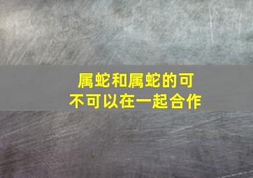 属蛇和属蛇的可不可以在一起合作