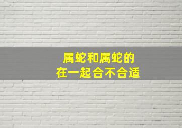 属蛇和属蛇的在一起合不合适