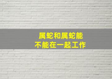 属蛇和属蛇能不能在一起工作