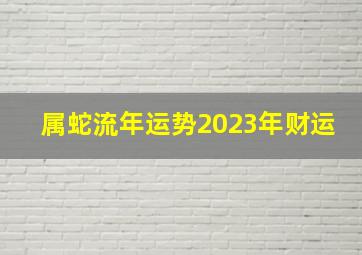 属蛇流年运势2023年财运