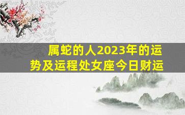 属蛇的人2023年的运势及运程处女座今日财运