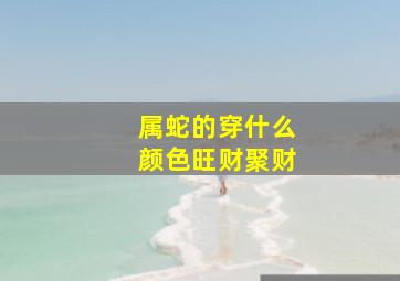 属蛇的穿什么颜色旺财聚财