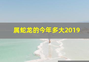 属蛇龙的今年多大2019