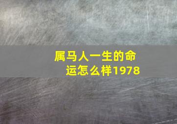 属马人一生的命运怎么样1978