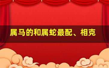 属马的和属蛇最配、相克