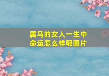 属马的女人一生中命运怎么样呢图片