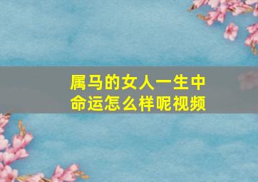 属马的女人一生中命运怎么样呢视频