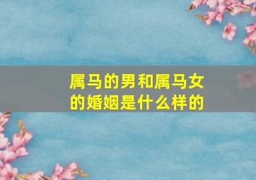 属马的男和属马女的婚姻是什么样的