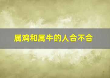 属鸡和属牛的人合不合