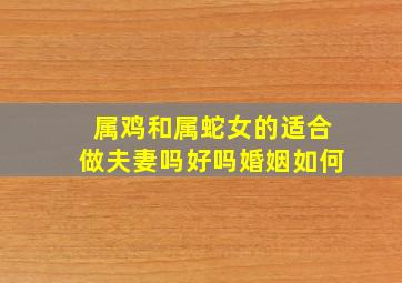 属鸡和属蛇女的适合做夫妻吗好吗婚姻如何