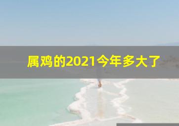 属鸡的2021今年多大了