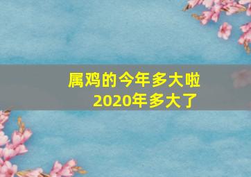 属鸡的今年多大啦2020年多大了