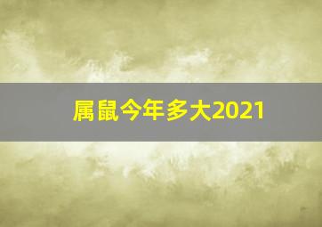 属鼠今年多大2021