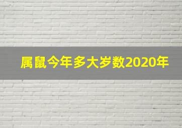 属鼠今年多大岁数2020年