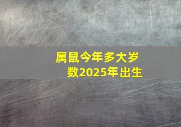 属鼠今年多大岁数2025年出生