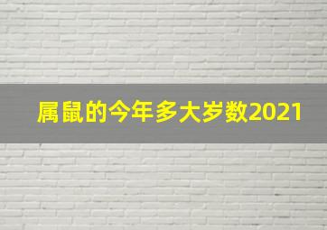 属鼠的今年多大岁数2021