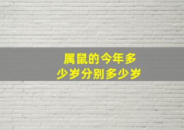 属鼠的今年多少岁分别多少岁