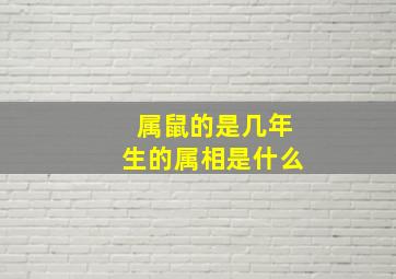 属鼠的是几年生的属相是什么