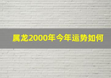 属龙2000年今年运势如何