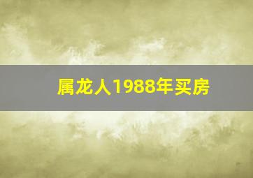 属龙人1988年买房