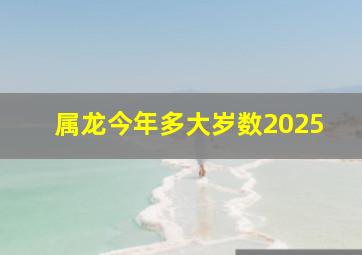 属龙今年多大岁数2025