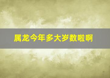 属龙今年多大岁数啦啊