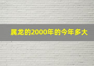 属龙的2000年的今年多大