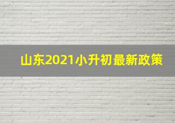 山东2021小升初最新政策